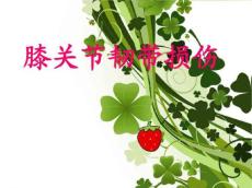 膝关节韧带损伤