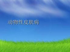 动物性皮肤病PPT医学课件