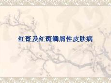 红斑及红斑鳞屑性皮肤病