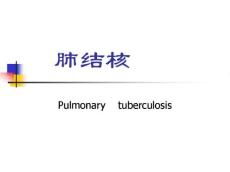 肺结核课件