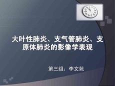 大叶性肺炎3921