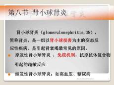 肾小球肾炎7706