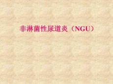皮肤性病学——非淋菌性尿道炎