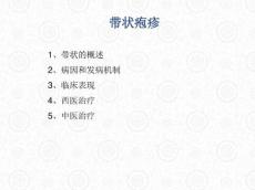 带状疱疹12109