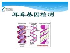 耳聋基因检测