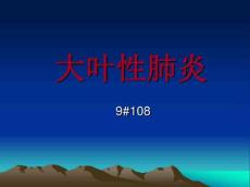 大叶性肺炎3806