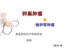 卵巢肿瘤概论