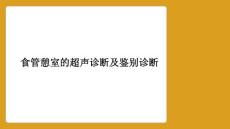食管憩室的超声诊断及鉴别诊断