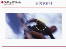 肩关节解剖