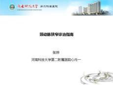 颈动脉狭窄诊治指南