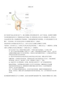胆囊炎护理