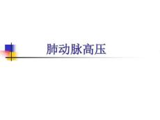 肺动脉高压-20167592
