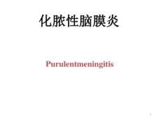 化脓性脑膜炎