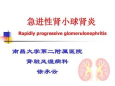 急进性肾小球肾炎2192