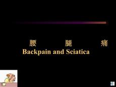 医学交流课件：腰腿痛