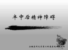 脑卒中后精神障碍