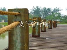 哮喘支气管哮喘小儿哮喘