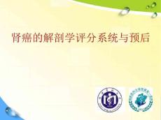 肾癌解剖评分