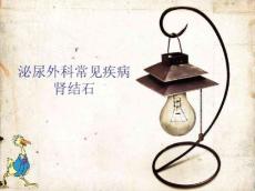 肾输尿管结石课件