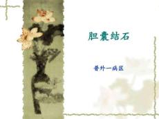胆囊结石216404
