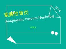 紫癜性肾炎18005