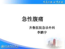 急性腹痛呕血与便血呕吐急性腹泻