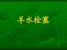 羊水栓塞14486