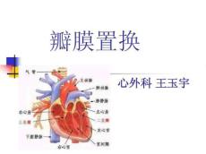 心脏瓣膜病个案