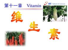 缺乏症PPT课件