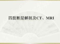 四肢断层解剖及