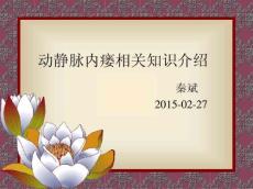 动静脉内瘘