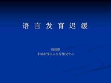语言发育迟缓12490
