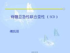 脊髓亚急性联合变性