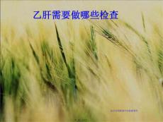 乙肝检查项目北京乙肝专科医院