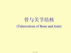 骨与关节结核