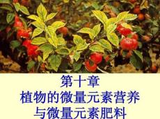 10植物的微量元素营养与微量元素肥料