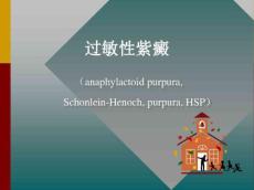 过敏性紫癜课件