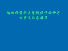胸腰椎骨折并截瘫