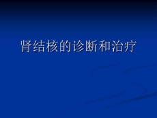 肾结核的诊断和治疗