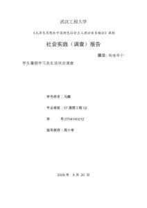毛概社会实践报告