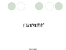 下肢脊柱骨折