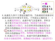 初中生物课件之人体眼耳及脊柱