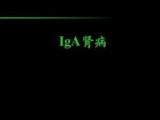 IgA肾病课件解读