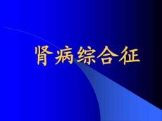 肾病综合征24417