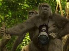 世界最奇怪有意思的照片