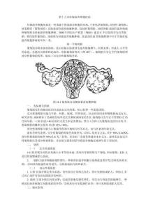 妊娠滋养细胞疾病