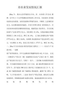 市農業發展情況匯報