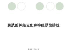 膀胱的神经支配和神经原性膀胱