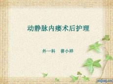 动静脉内瘘