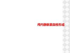 颅内静脉窦血栓形成